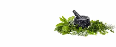 Doğal Bitkiler - Saf ve Organik, Kahvaltılık Lezzetler